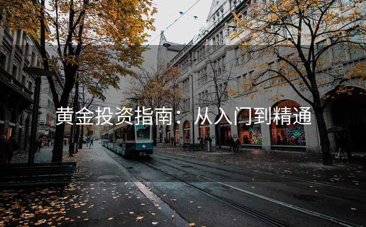 黄金投资指南：从入门到精通