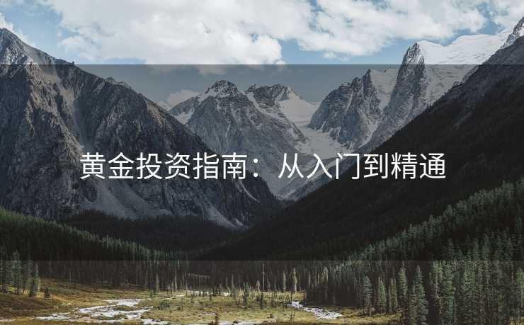 黄金投资指南：从入门到精通