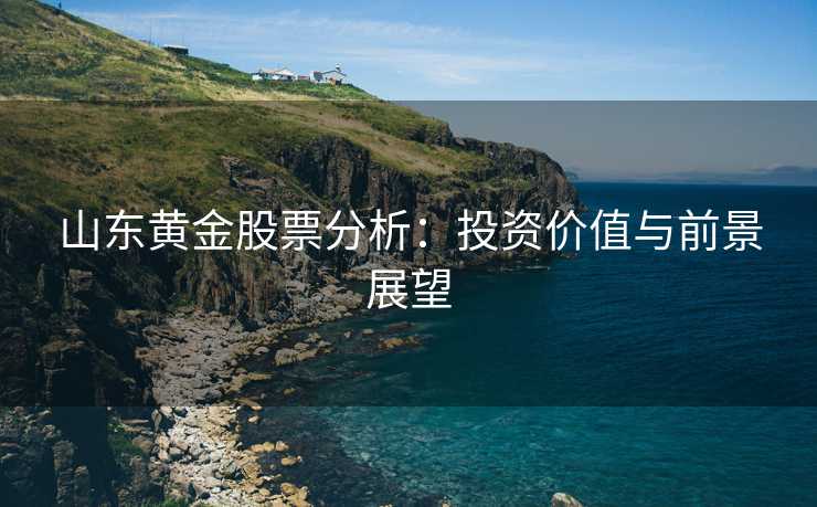 山东黄金股票分析：投资价值与前景展望