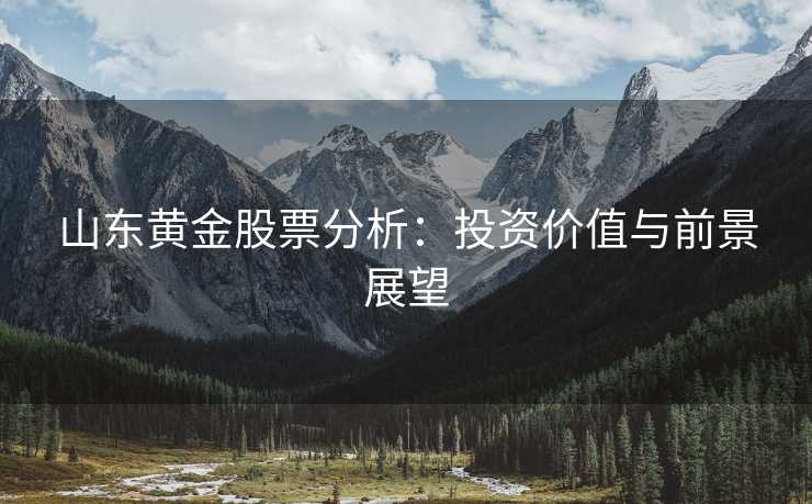 山东黄金股票分析：投资价值与前景展望