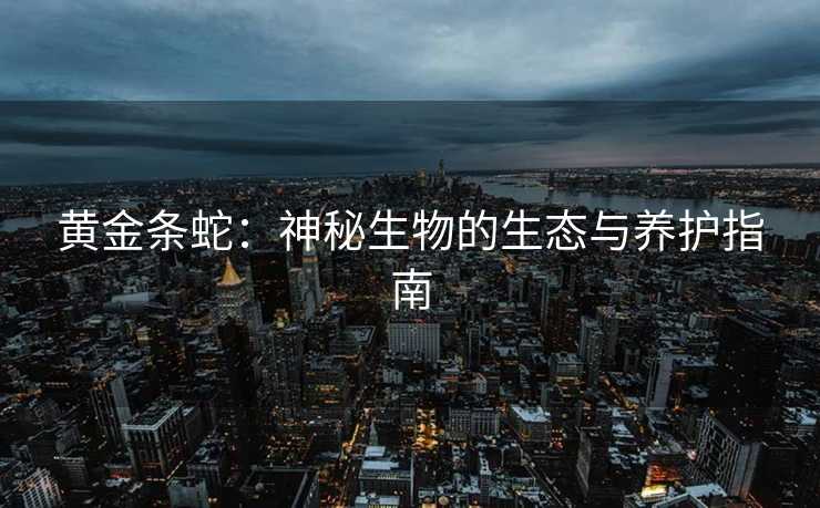 黄金条蛇：神秘生物的生态与养护指南