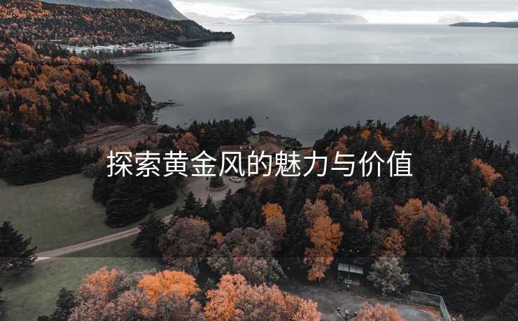 探索黄金风的魅力与价值