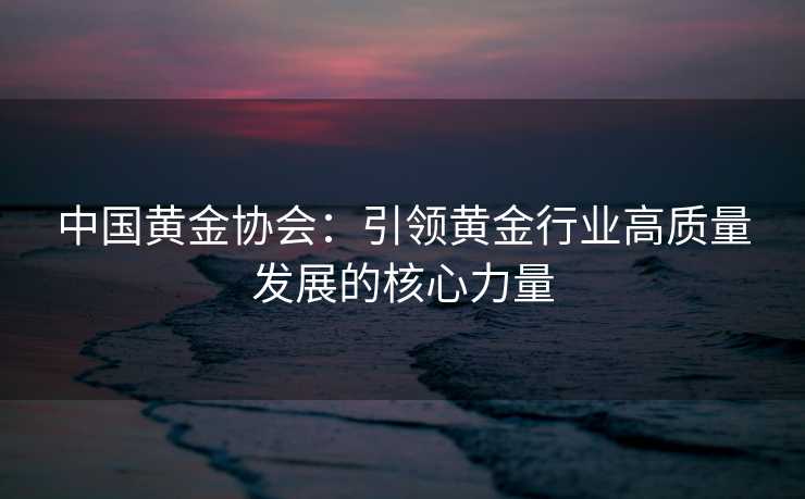 中国黄金协会：引领黄金行业高质量发展的核心力量