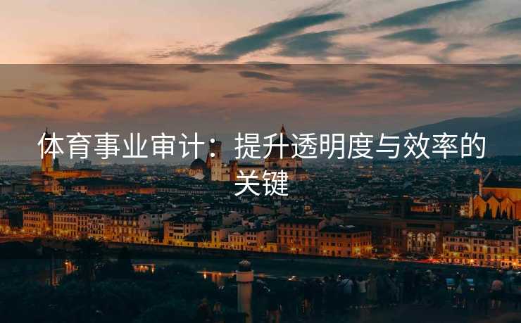 体育事业审计：提升透明度与效率的关键