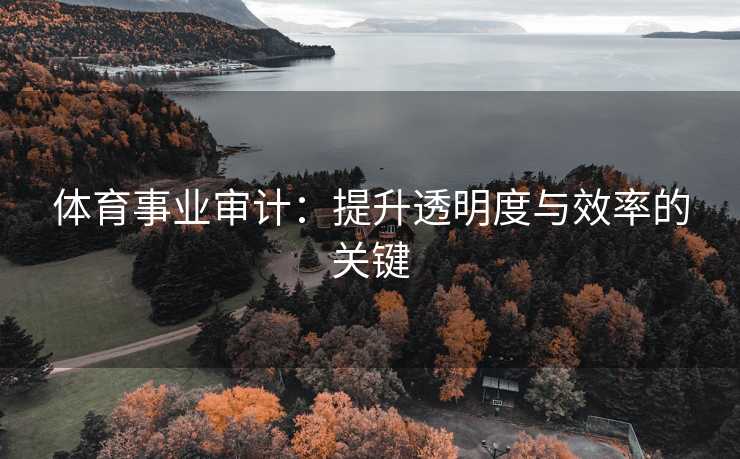 体育事业审计：提升透明度与效率的关键