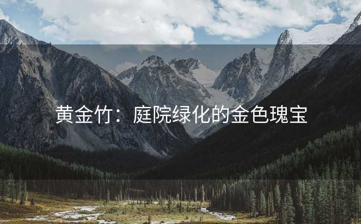 黄金竹：庭院绿化的金色瑰宝