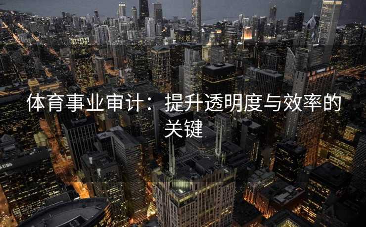 体育事业审计：提升透明度与效率的关键