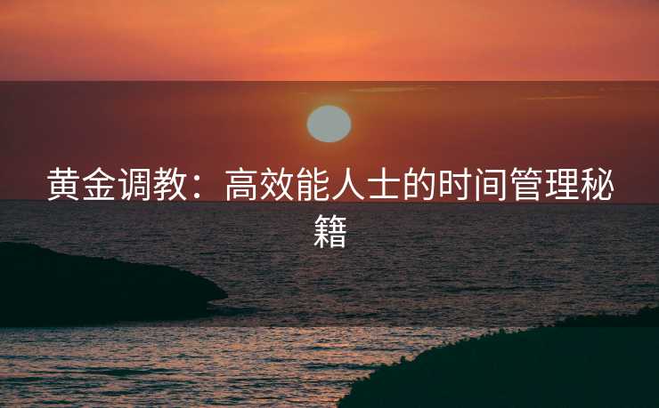 黄金调教：高效能人士的时间管理秘籍