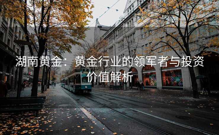 湖南黄金：黄金行业的领军者与投资价值解析