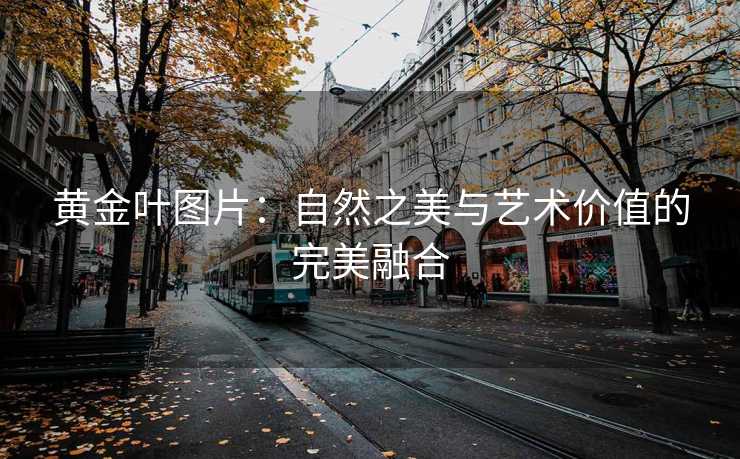 黄金叶图片：自然之美与艺术价值的完美融合