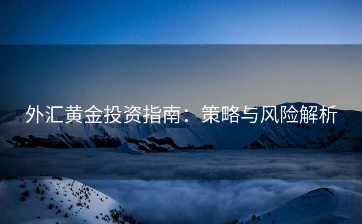 外汇黄金投资指南：策略与风险解析