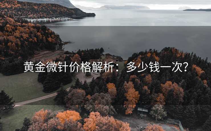 黄金微针价格解析：多少钱一次？