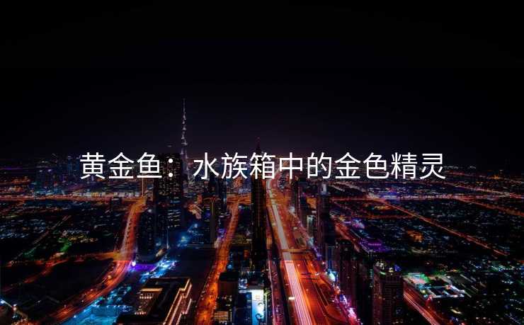 黄金鱼：水族箱中的金色精灵