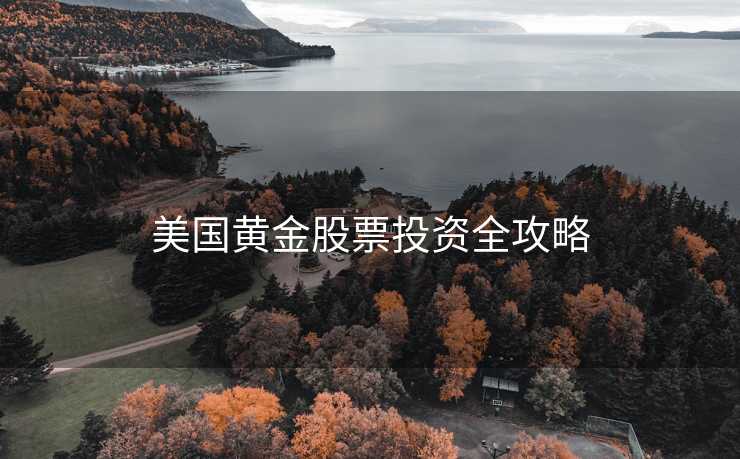 美国黄金股票投资全攻略