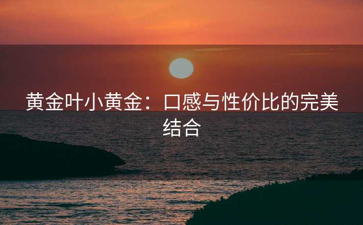 黄金叶小黄金：口感与性价比的完美结合