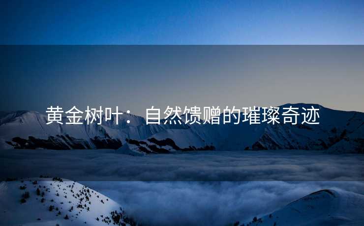黄金树叶：自然馈赠的璀璨奇迹