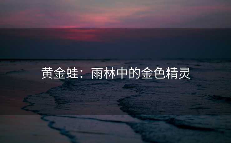 黄金蛙：雨林中的金色精灵