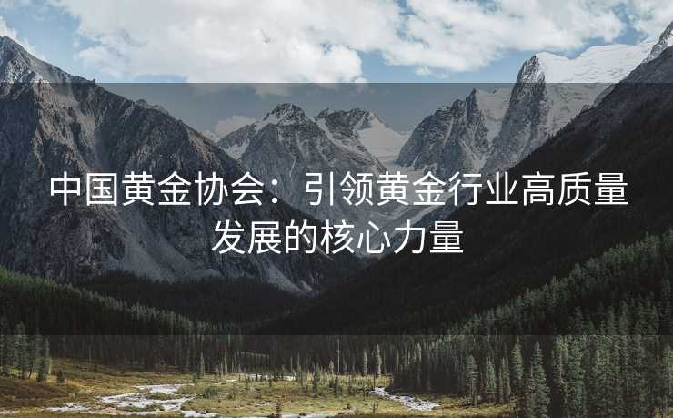 中国黄金协会：引领黄金行业高质量发展的核心力量