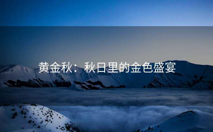 黄金秋：秋日里的金色盛宴