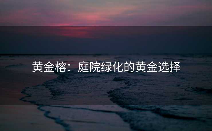 黄金榕：庭院绿化的黄金选择