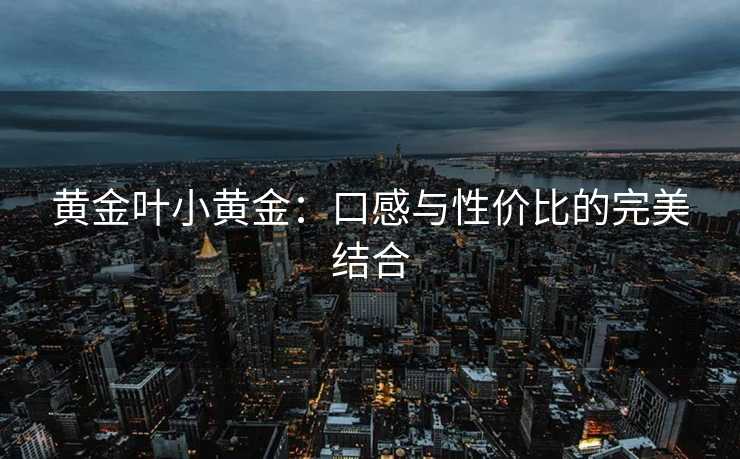 黄金叶小黄金：口感与性价比的完美结合