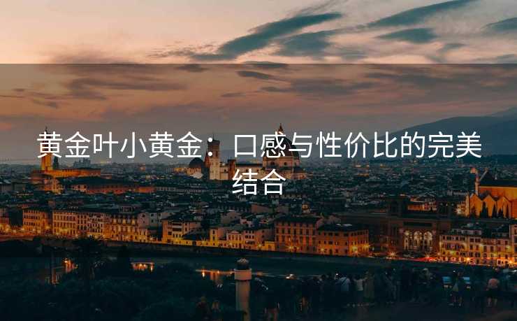 黄金叶小黄金：口感与性价比的完美结合