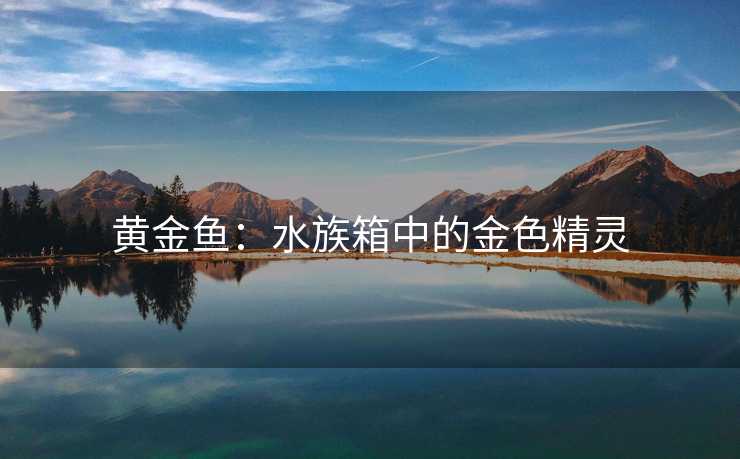 黄金鱼：水族箱中的金色精灵