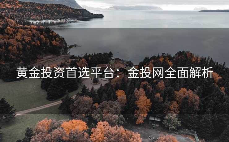 黄金投资首选平台：金投网全面解析