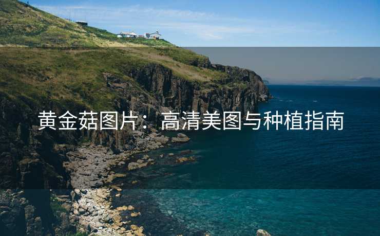 黄金菇图片：高清美图与种植指南