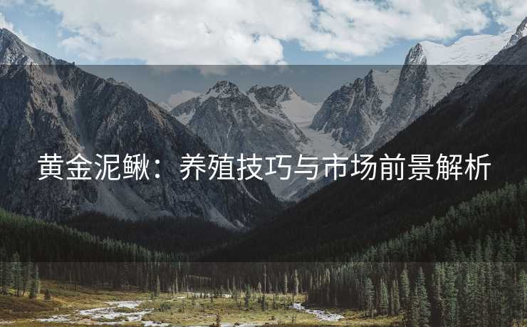 黄金泥鳅：养殖技巧与市场前景解析