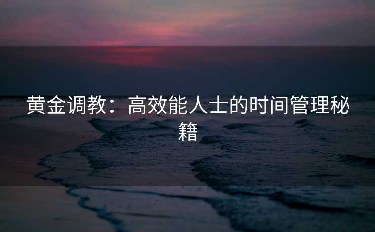 黄金调教：高效能人士的时间管理秘籍