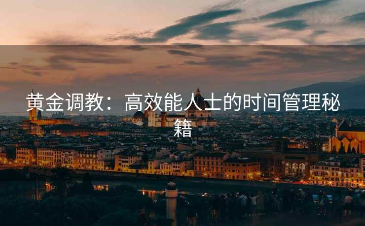 黄金调教：高效能人士的时间管理秘籍