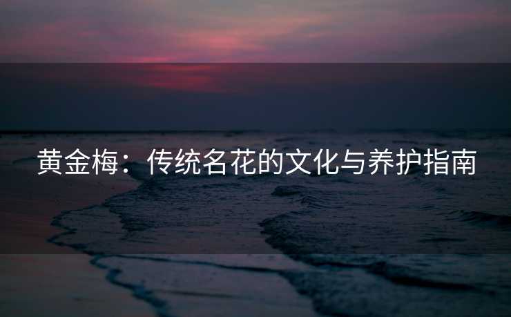 黄金梅：传统名花的文化与养护指南