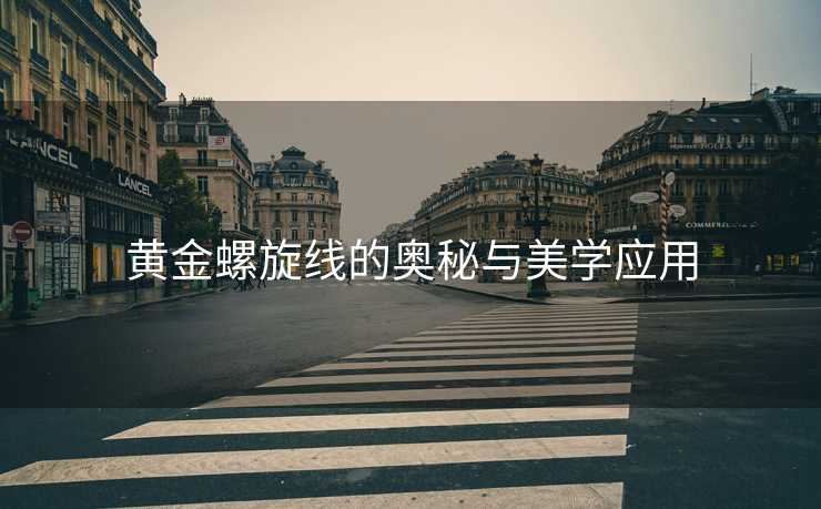 黄金螺旋线的奥秘与美学应用