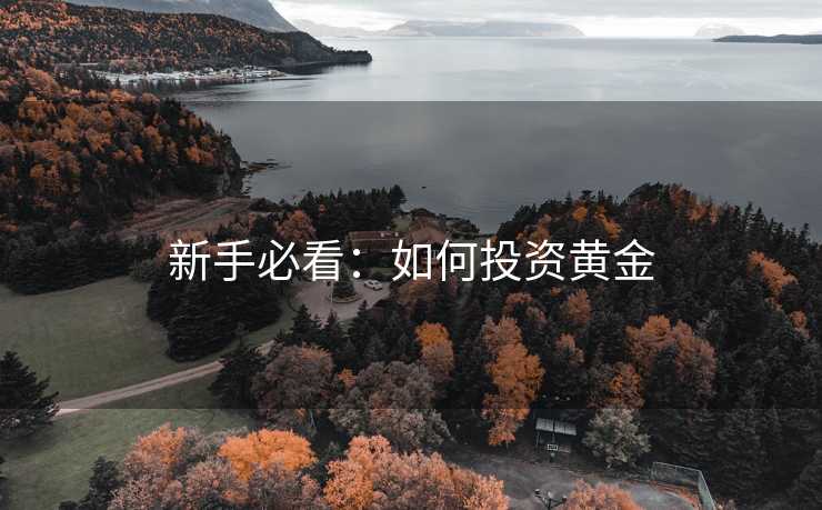 新手必看：如何投资黄金