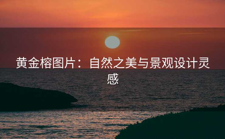 黄金榕图片：自然之美与景观设计灵感