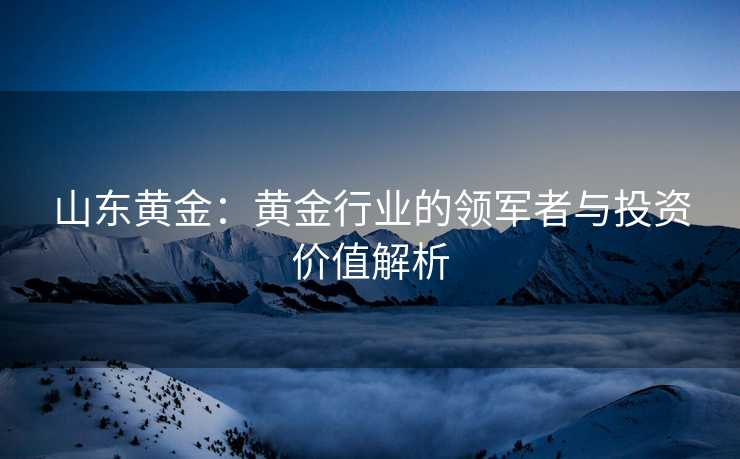 山东黄金：黄金行业的领军者与投资价值解析