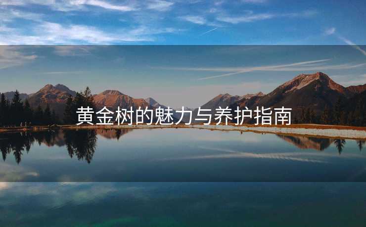 黄金树的魅力与养护指南