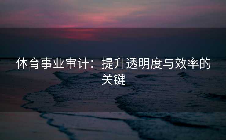 体育事业审计：提升透明度与效率的关键