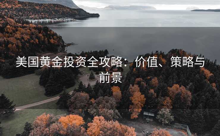 美国黄金投资全攻略：价值、策略与前景