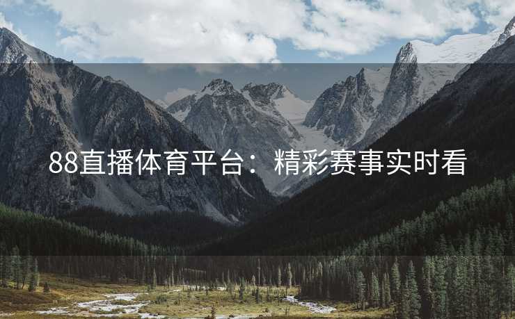 88直播体育平台：精彩赛事实时看