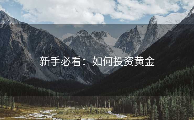 新手必看：如何投资黄金