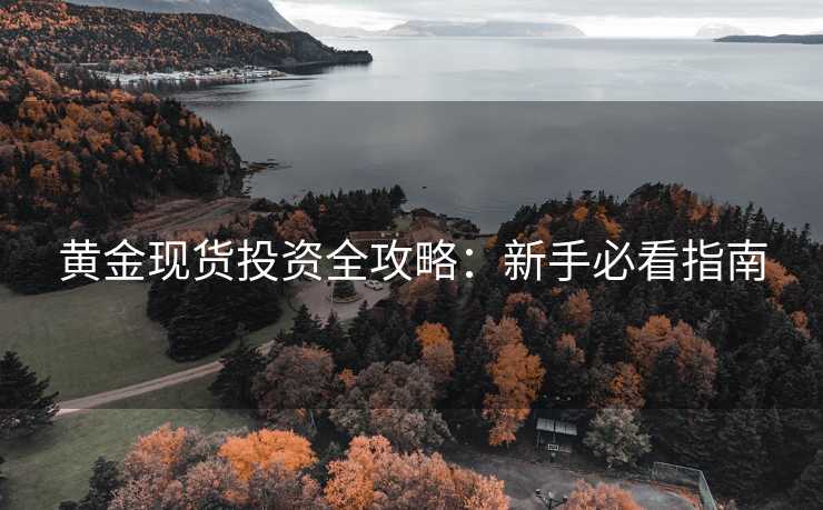 黄金现货投资全攻略：新手必看指南