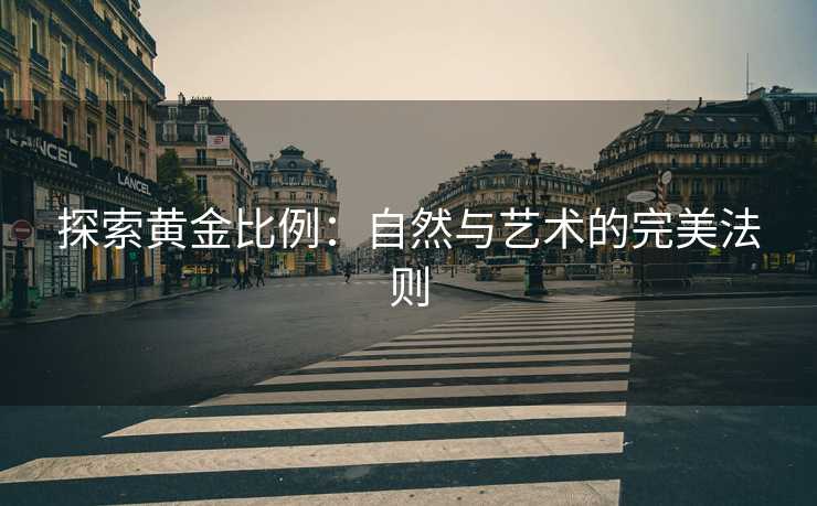 探索黄金比例：自然与艺术的完美法则