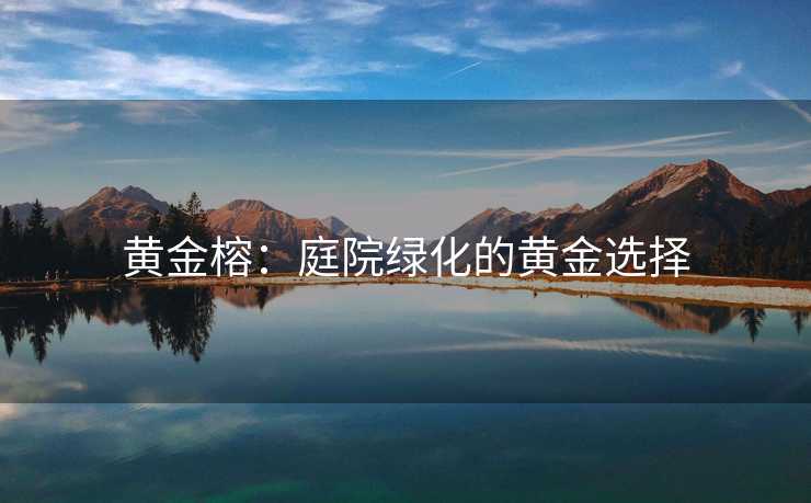 黄金榕：庭院绿化的黄金选择