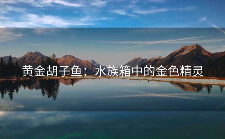 黄金胡子鱼：水族箱中的金色精灵