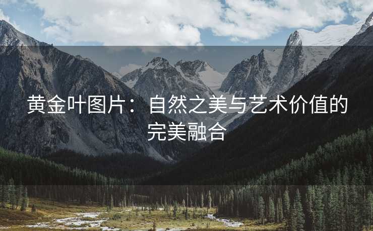 黄金叶图片：自然之美与艺术价值的完美融合