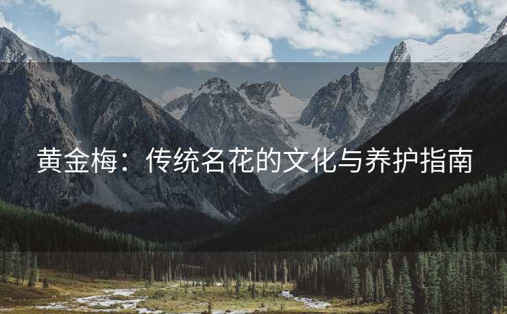 黄金梅：传统名花的文化与养护指南