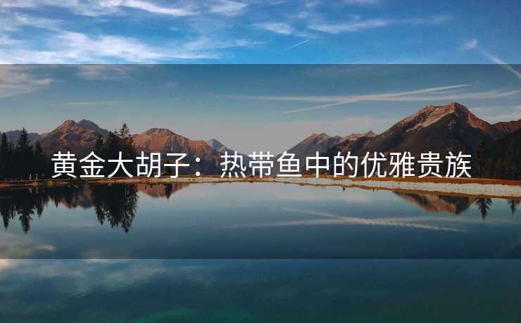 黄金大胡子：热带鱼中的优雅贵族