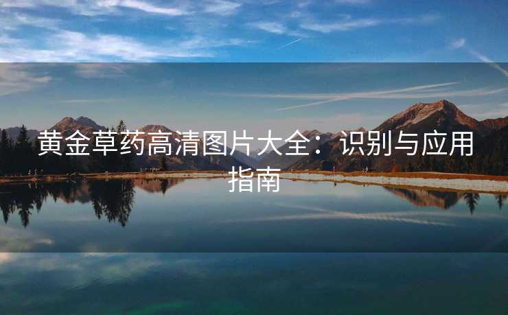 黄金草药高清图片大全：识别与应用指南